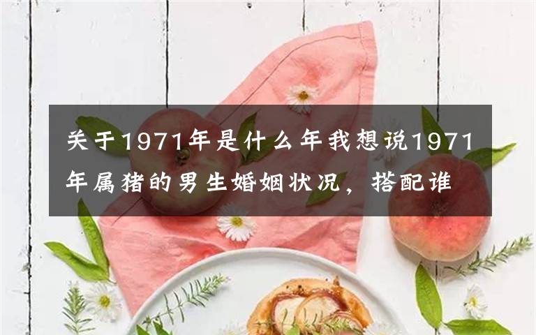 关于1971年是什么年我想说1971年属猪的男生婚姻状况，搭配谁会更幸福