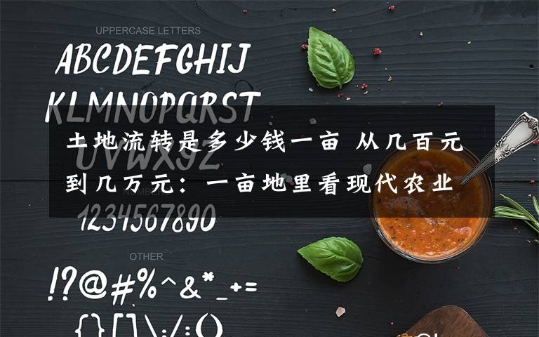 土地流转是多少钱一亩 从几百元到几万元:一亩地里看现代农业新变化
