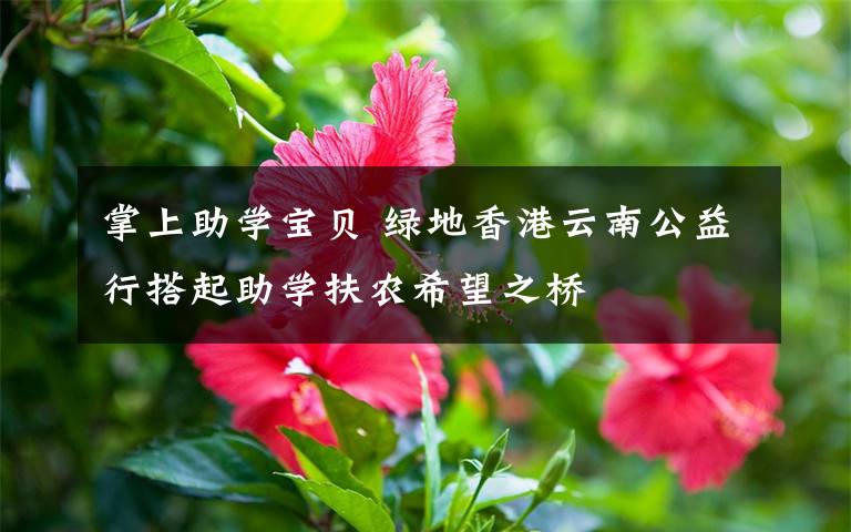 掌上助学宝贝 绿地香港云南公益行搭起助学扶农希望之桥