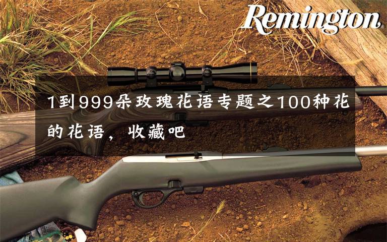 1到999朵玫瑰花语专题之100种花的花语,收藏吧