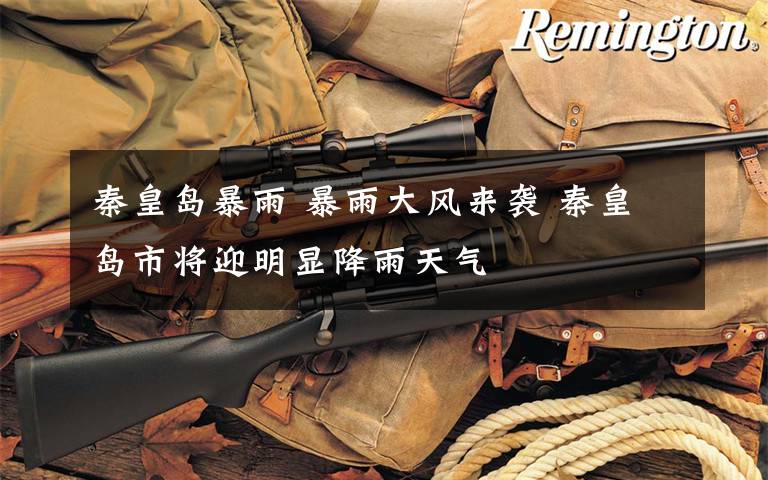秦皇岛暴雨 暴雨大风来袭 秦皇岛市将迎明显降雨天气