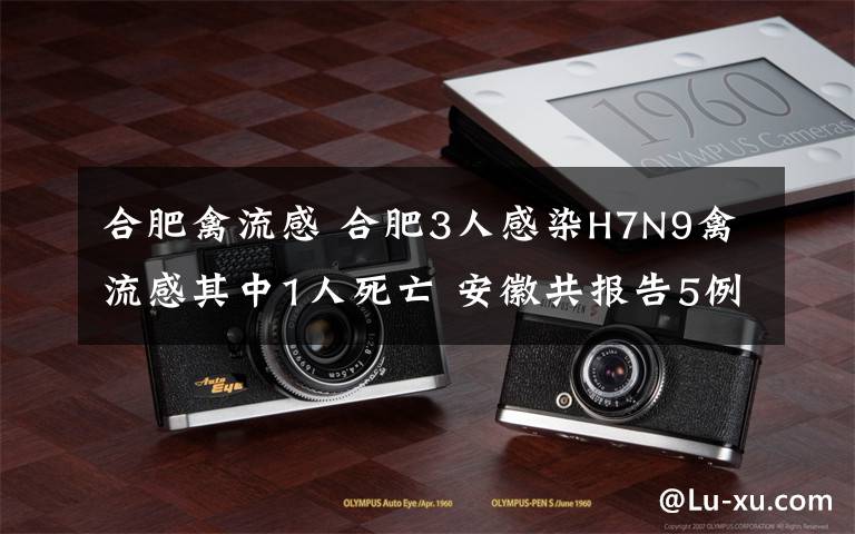 合肥禽流感 合肥3人感染H7N9禽流感其中1人死亡 安徽共报告5例H7N9病例