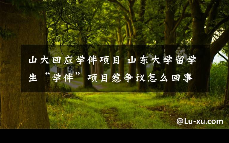 山大回应学伴项目 山东大学留学生“学伴”项目惹争议怎么回事