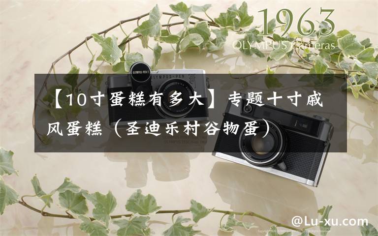 【10寸蛋糕有多大】专题十寸戚风蛋糕（圣迪乐村谷物蛋）