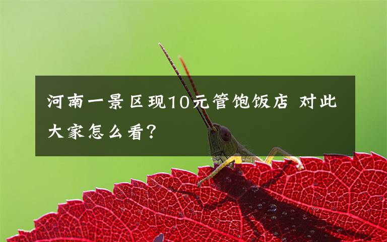 河南一景区现10元管饱饭店 对此大家怎么看?