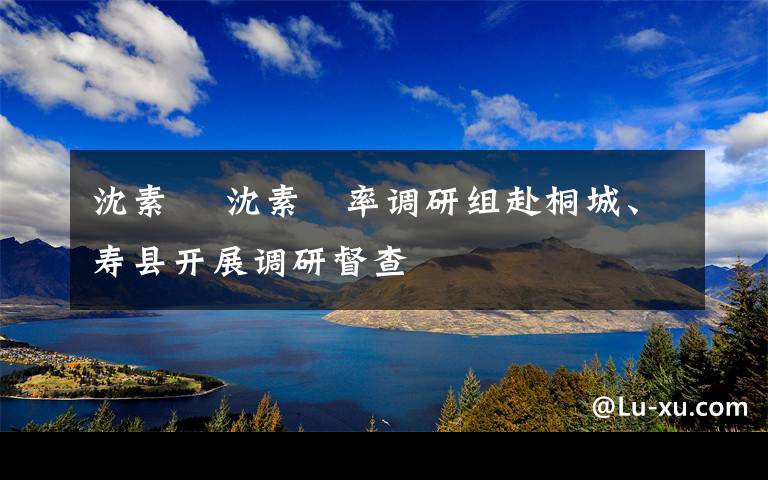 沈素琍 沈素琍率调研组赴桐城、寿县开展调研督查
