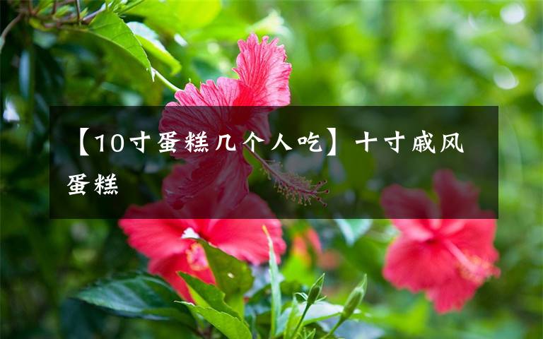 【10寸蛋糕几个人吃】十寸戚风蛋糕