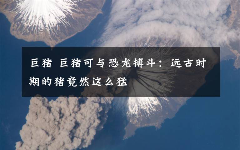 巨猪 巨猪可与恐龙搏斗:远古时期的猪竟然这么猛