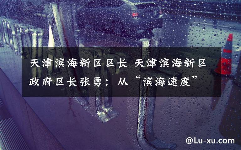 天津滨海新区区长 天津滨海新区政府区长张勇:从“滨海速度”向“滨海效益”转型