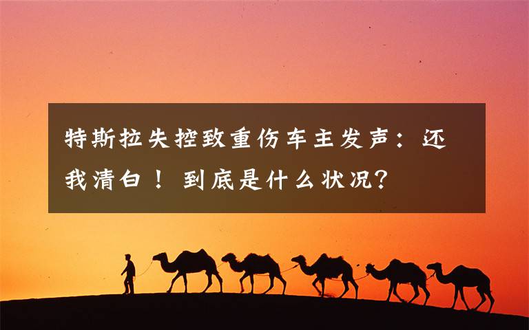 特斯拉失控致重伤车主发声:还我清白! 到底是什么状况?
