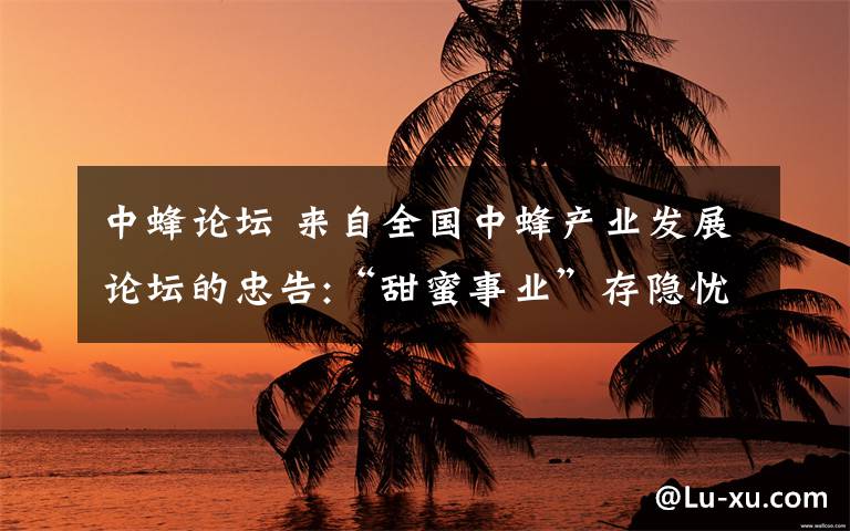 中蜂论坛 来自全国中蜂产业发展论坛的忠告:“甜蜜事业”存隐忧