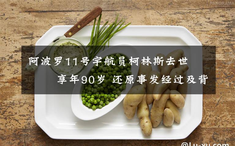 阿波罗11号宇航员柯林斯去世    享年90岁 还原事发经过及背后原因!