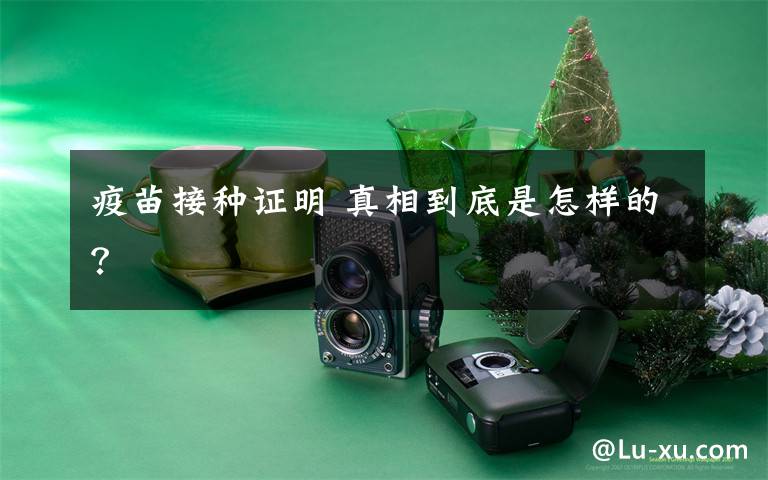 疫苗接种证明 真相到底是怎样的?