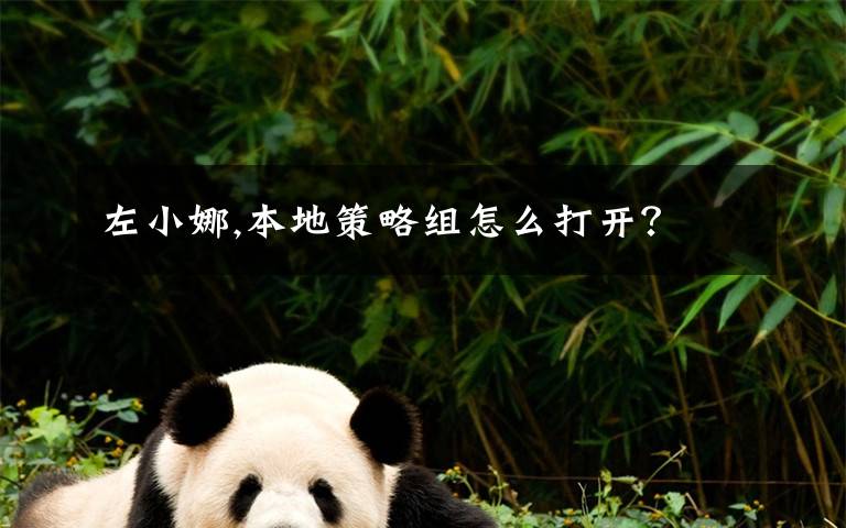 左小娜,本地策略组怎么打开?