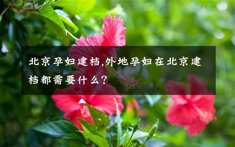 北京孕妇建档,外地孕妇在北京建档都需要什么?