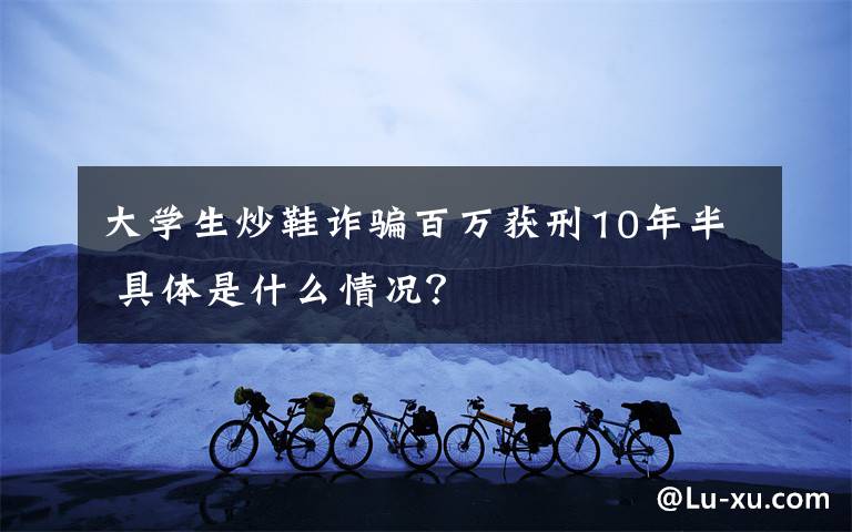 大学生炒鞋诈骗百万获刑10年半 具体是什么情况?
