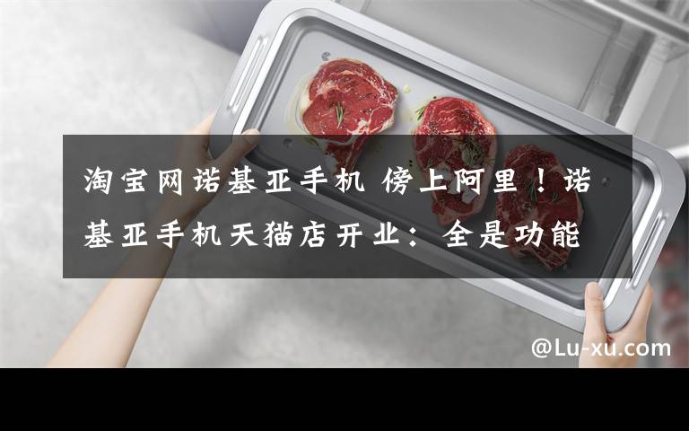 淘宝网诺基亚手机 傍上阿里!诺基亚手机天猫店开业:全是功能机