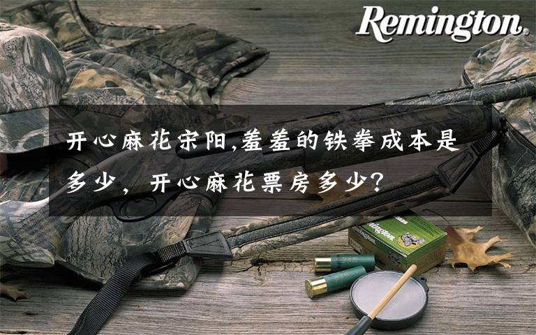 开心麻花宋阳,羞羞的铁拳成本是多少，开心麻花票房多少？