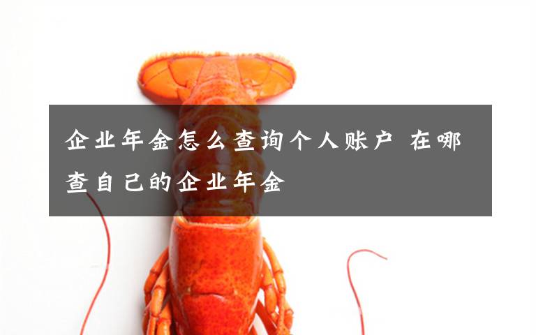 企业年金怎么查询个人账户 在哪查自己的企业年金