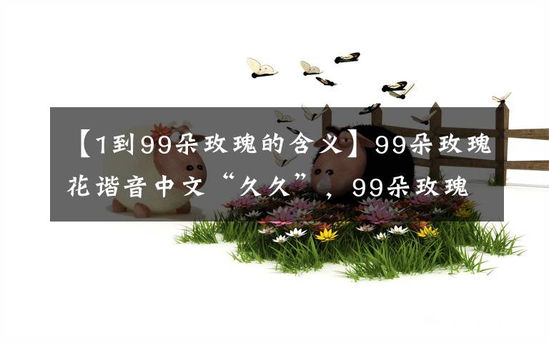 【1到99朵玫瑰的含义】99朵玫瑰花谐音中文“久久”,99朵玫瑰代表什么