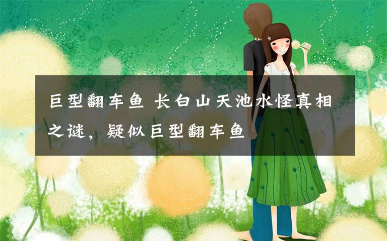 巨型翻车鱼 长白山天池水怪真相之谜,疑似巨型翻车鱼