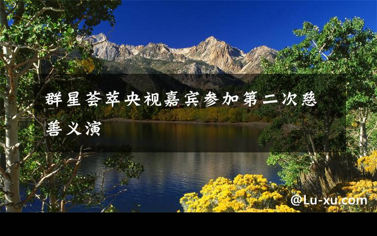 群星荟萃央视嘉宾参加第二次慈善义演