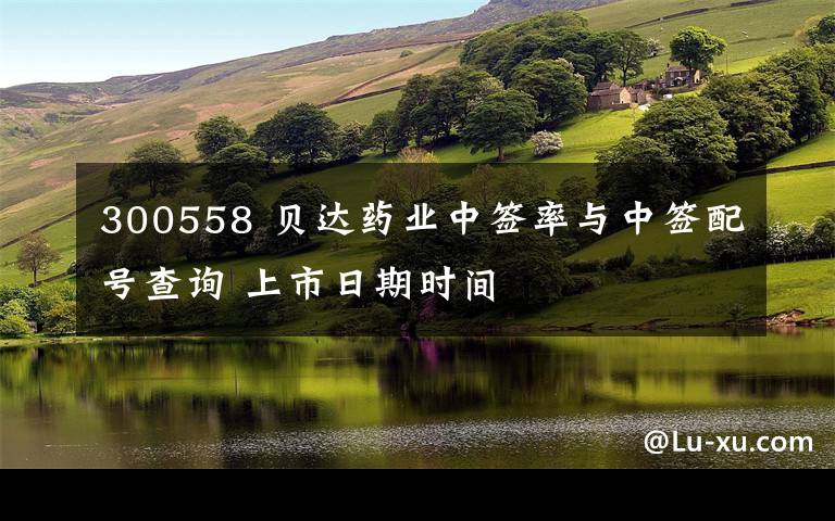 300558 贝达药业中签率与中签配号查询 上市日期时间