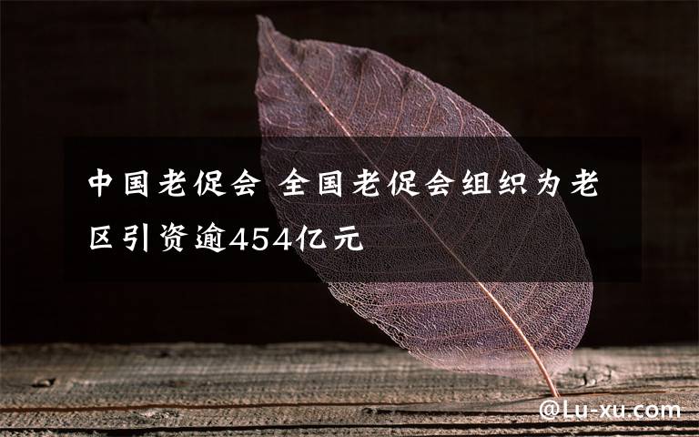 中国老促会 全国老促会组织为老区引资逾454亿元