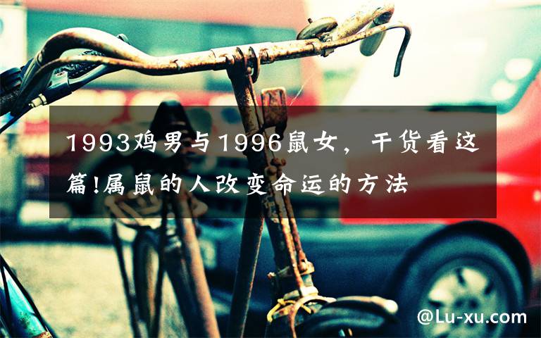 1993鸡男与1996鼠女，干货看这篇!属鼠的人改变命运的方法