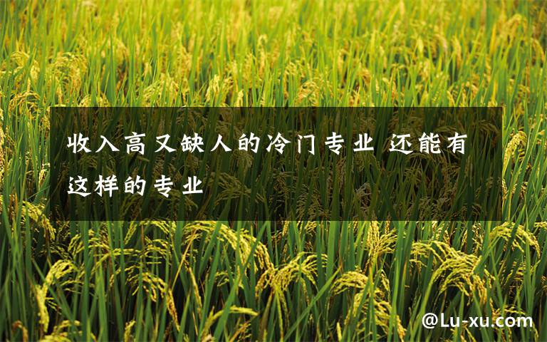 收入高又缺人的冷门专业 还能有这样的专业