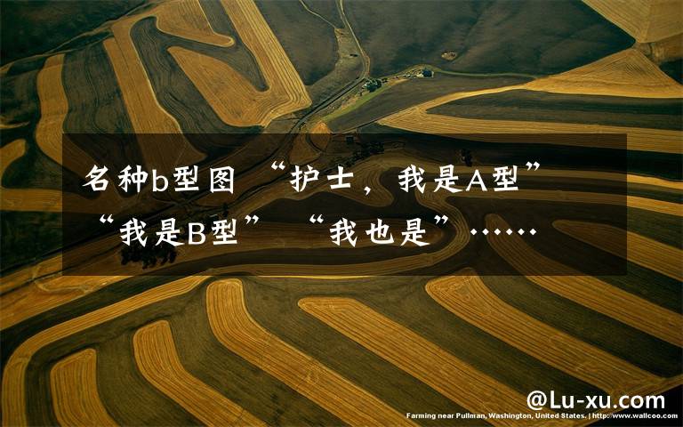 名种b型图 “护士,我是A型” “我是B型” “我也是”……