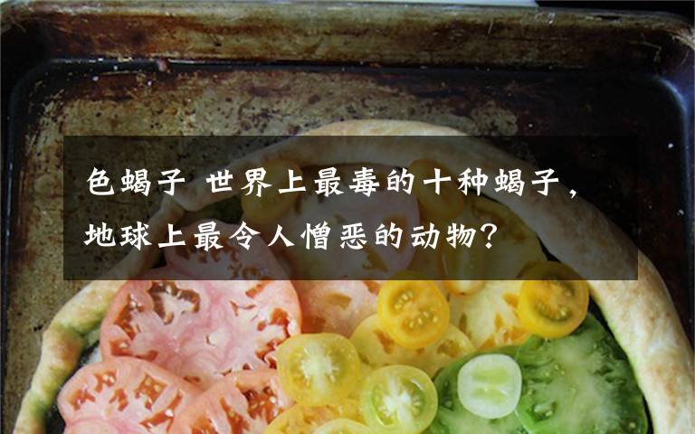 色蝎子 世界上最毒的十种蝎子,地球上最令人憎恶的动物?