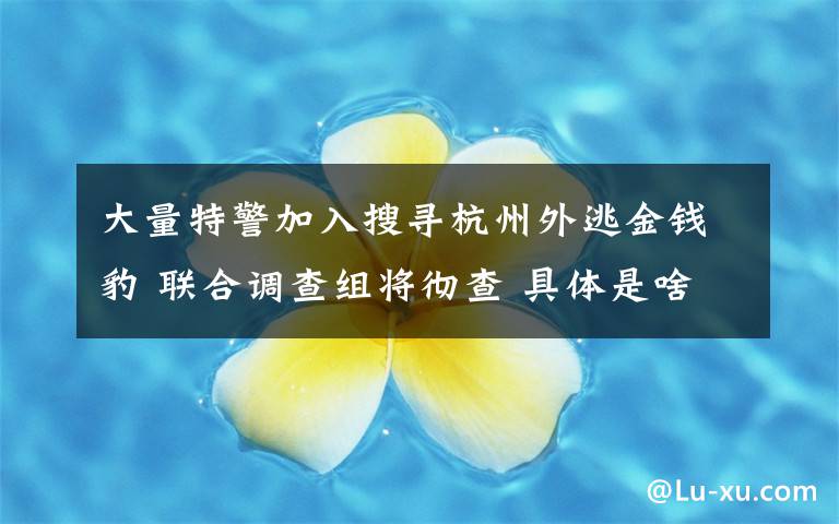 大量特警加入搜寻杭州外逃金钱豹 联合调查组将彻查 具体是啥情况?