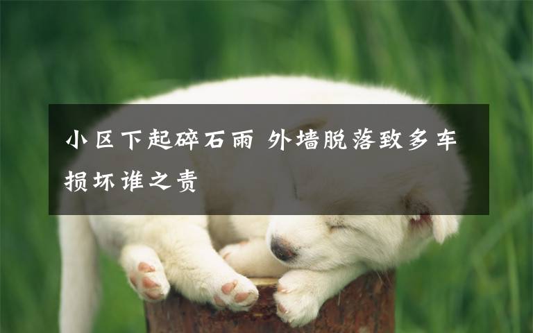 小区下起碎石雨 外墙脱落致多车损坏谁之责