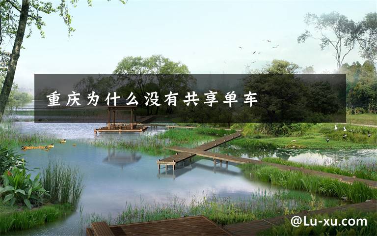 重庆为什么没有共享单车