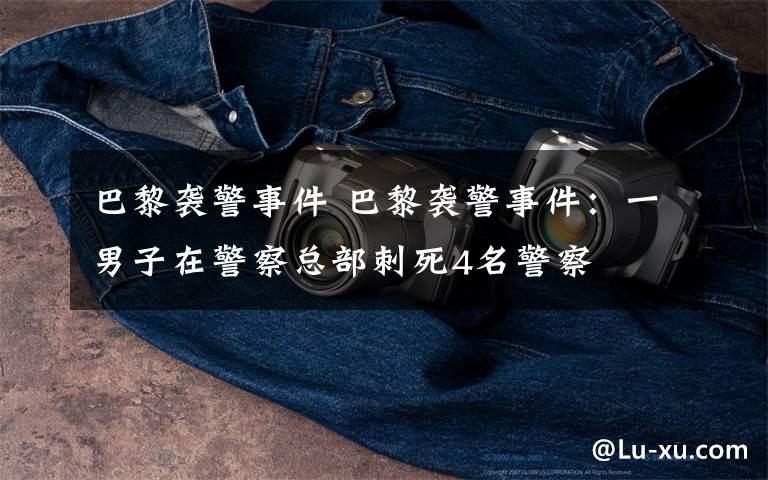 巴黎袭警事件 巴黎袭警事件:一男子在警察总部刺死4名警察