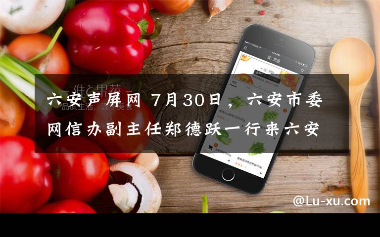 六安声屏网 7月30日,六安市委网信办副主任郑德跃一行来六安声屏网进行网络安全和信息化检查工作