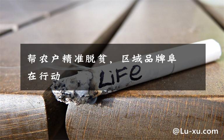 帮农户精准脱贫,区域品牌阜禮在行动