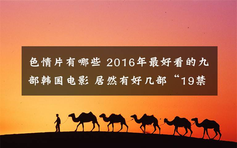 色情片有哪些 2016年最好看的九部韩国电影 居然有好几部“19禁”!