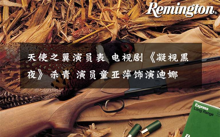 天使之翼演员表 电视剧《凝视黑夜》杀青 演员童亚萍饰演迪娜