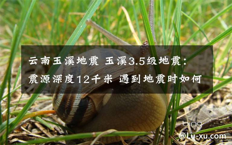 云南玉溪地震 玉溪3.5级地震:震源深度12千米 遇到地震时如何躲避?