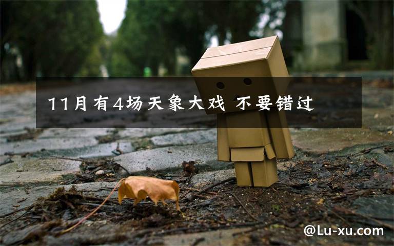 11月有4场天象大戏 不要错过