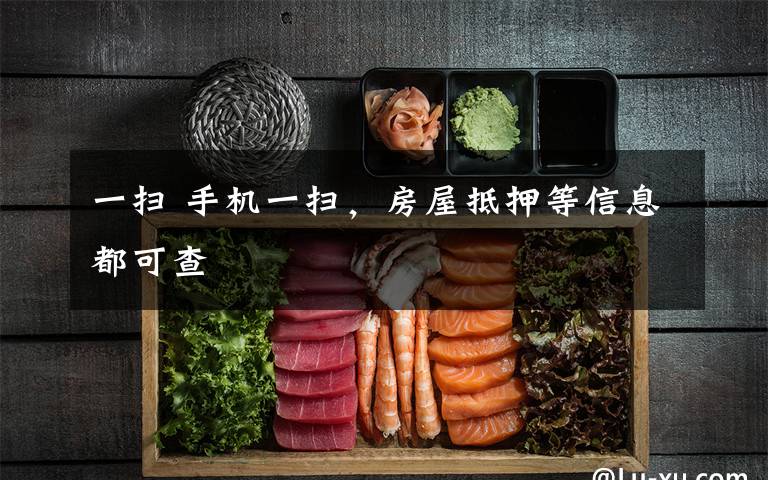 一扫 手机一扫,房屋抵押等信息都可查