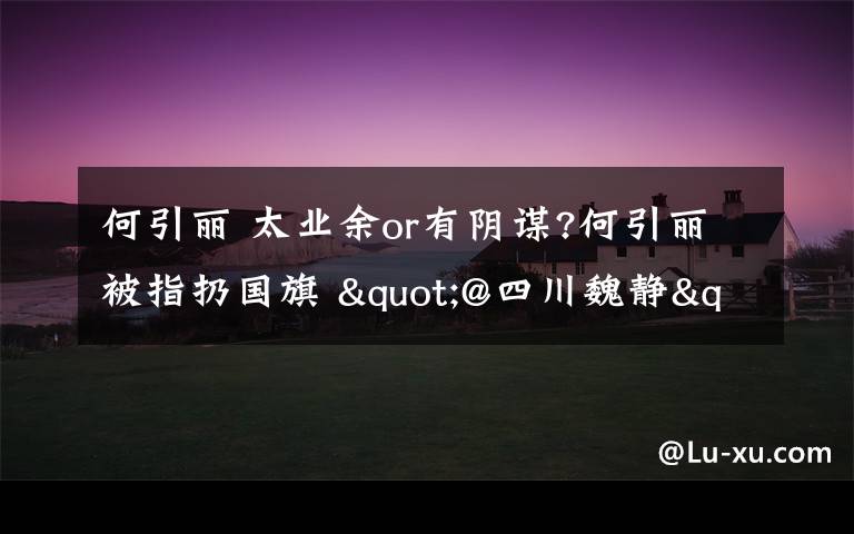 何引丽 太业余or有阴谋?何引丽被指扔国旗 "@四川魏静"是谁?拿爱国主义背锅