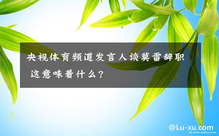 央视体育频道发言人谈莫雷辞职 这意味着什么?