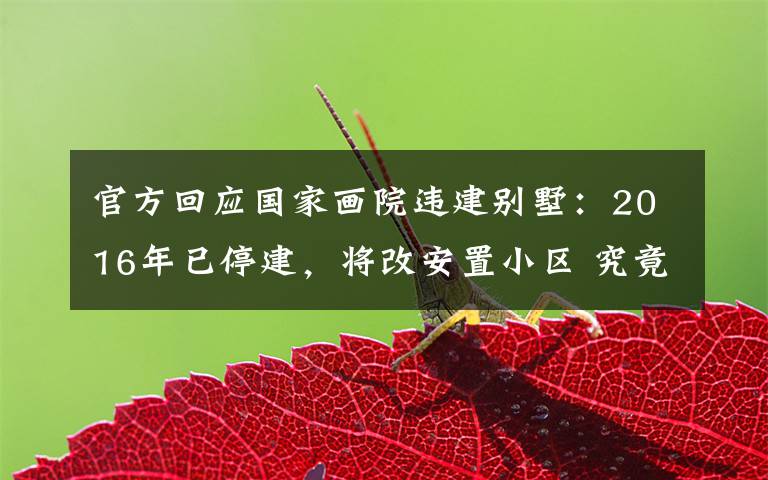 官方回应国家画院违建别墅:2016年已停建,将改安置小区 究竟是怎么一回事?