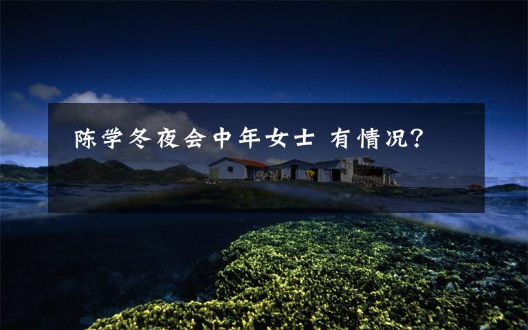陈学冬夜会中年女士 有情况?