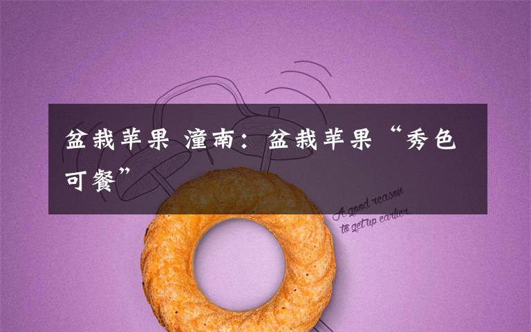 盆栽苹果 潼南:盆栽苹果“秀色可餐”