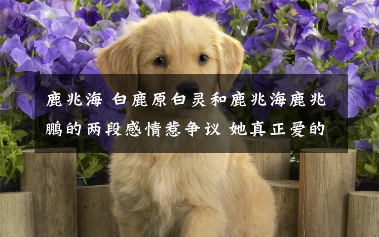 鹿兆海 白鹿原白灵和鹿兆海鹿兆鹏的两段感情惹争议 她真正爱的是鹿兆鹏