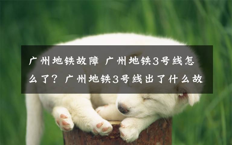 广州地铁故障 广州地铁3号线怎么了?广州地铁3号线出了什么故障最新消息